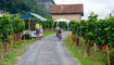Weinfest in Heiligkreuz, Mels