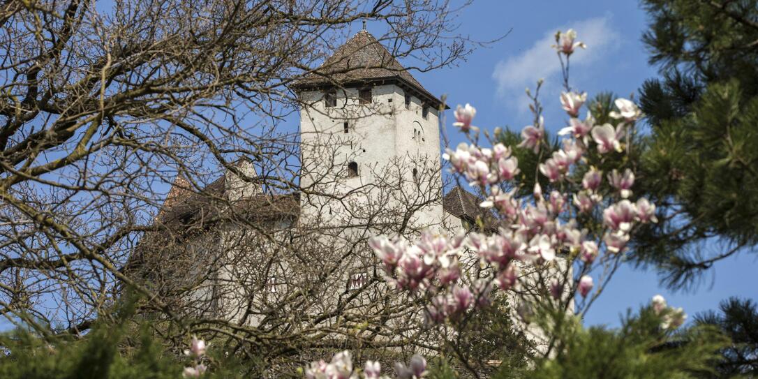 Burg Gutenberg in Balzers