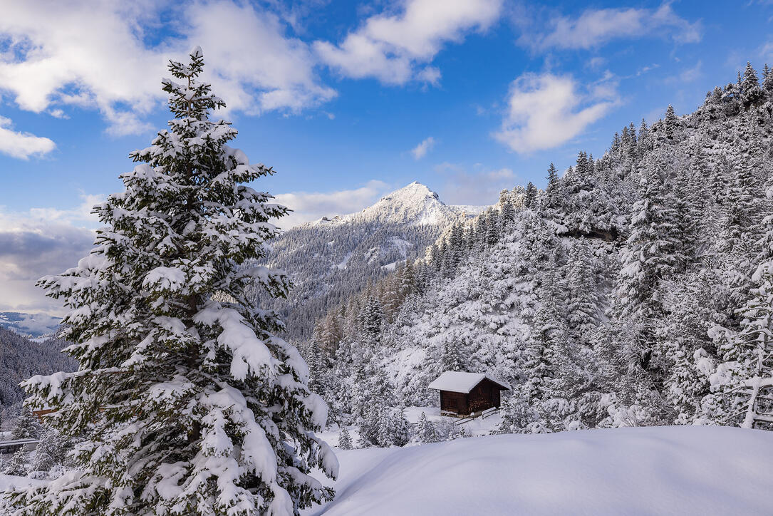 Der erste Schnee in Malbun und Steg