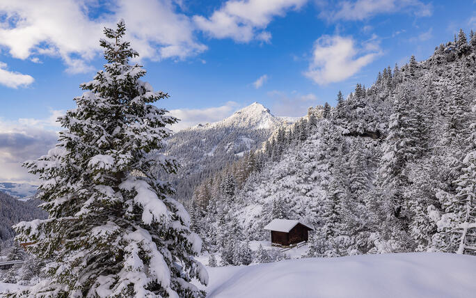 Der erste Schnee in Malbun und Steg