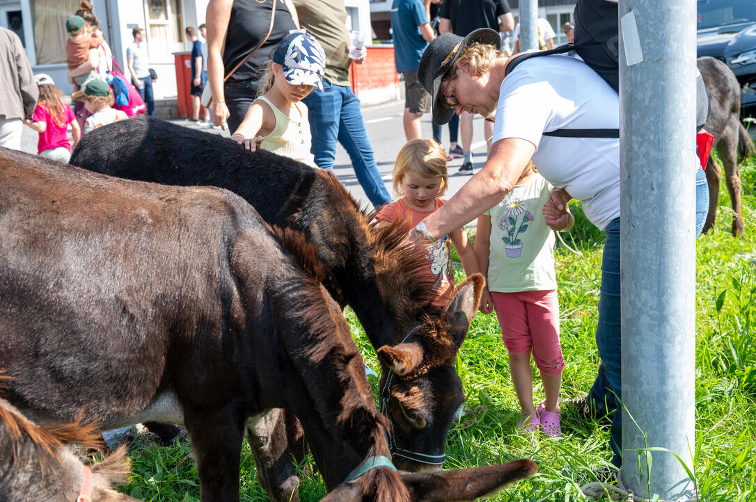 Eselfest, in Malbun