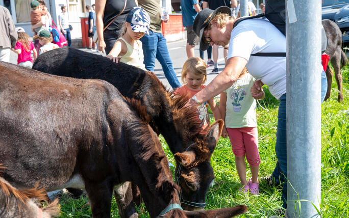 Eselfest, in Malbun