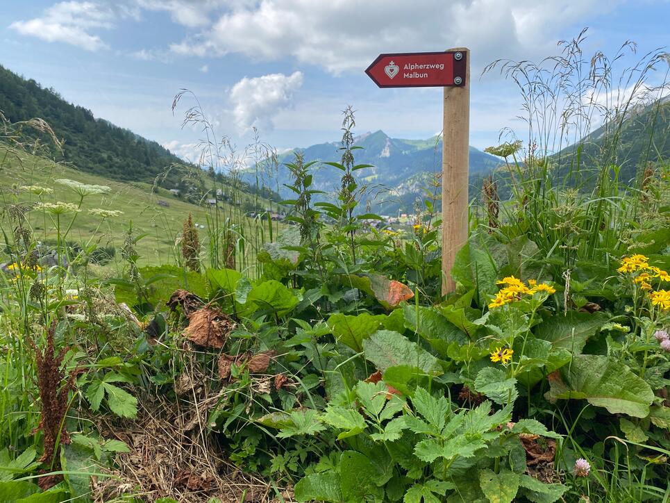 Alpherzweg Malbun - Leserwettbewerb