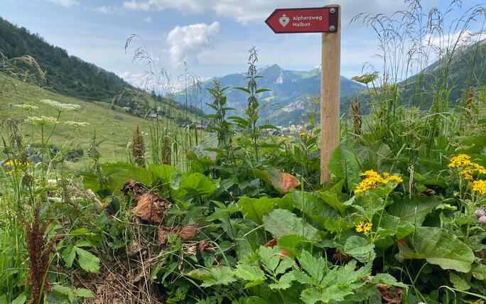 Alpherzweg Malbun - Leserwettbewerb