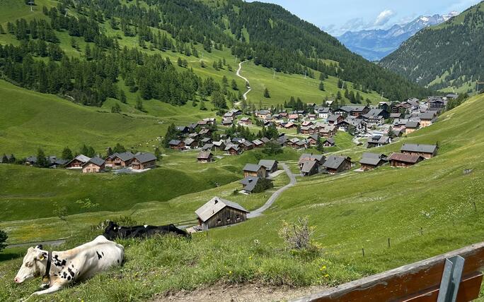 Alpherzweg Malbun - Leserwettbewerb