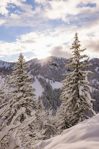 Der erste Schnee in Malbun und Steg