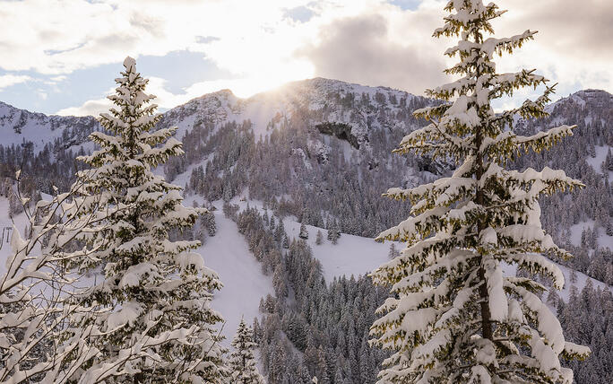 Der erste Schnee in Malbun und Steg