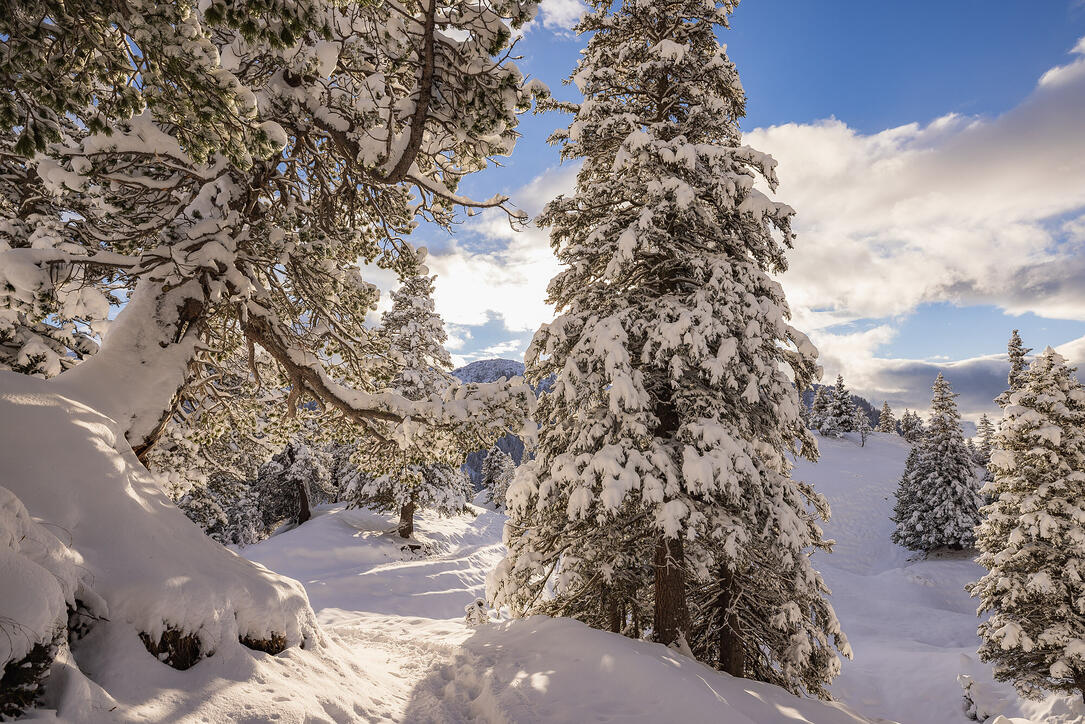 Der erste Schnee in Malbun und Steg