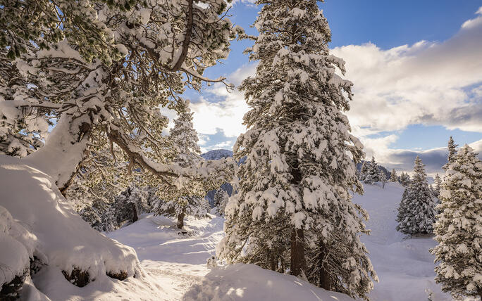 Der erste Schnee in Malbun und Steg