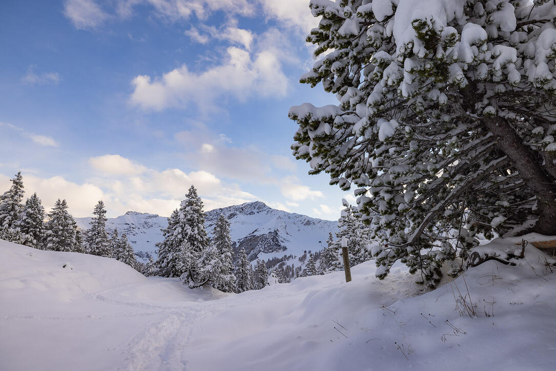 Der erste Schnee in Malbun und Steg