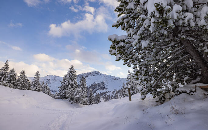 Der erste Schnee in Malbun und Steg