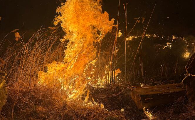 Schilfbrand am 9. März in Mauren