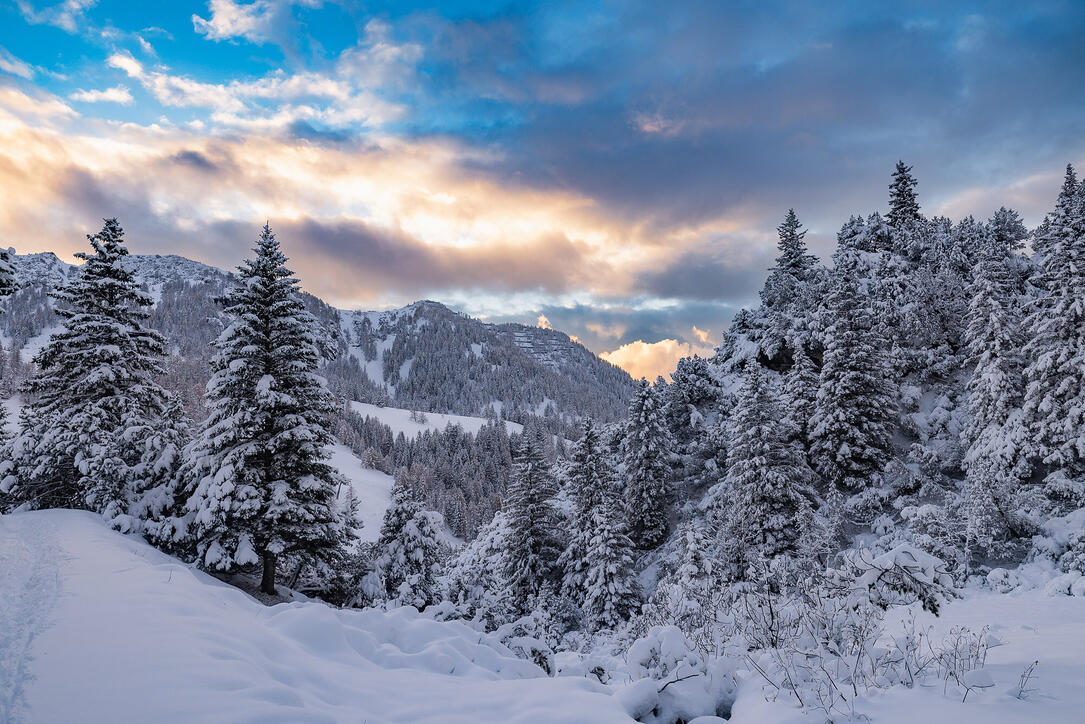 Der erste Schnee in Malbun und Steg