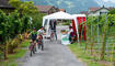 Weinfest in Heiligkreuz, Mels