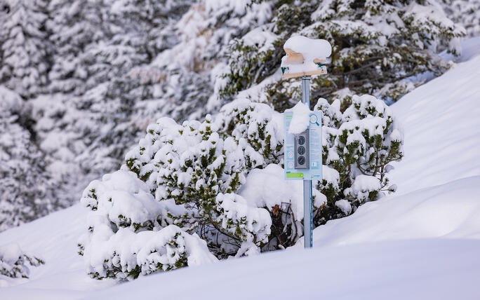 Der erste Schnee in Malbun und Steg