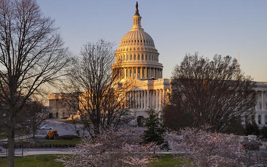 Zeigt sich widerspenstiger als erwartet gegenüber US-Präsident Donald Trump: das Capitol in Washington, das Parlamentsgebäude, wo die beiden Kammern Senat und Repräsentantenhaus arbeiten.