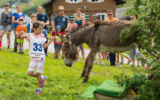 Eselfest in Malbun