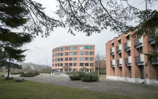 Gymnasium Vaduz Provisorium Schule 150225