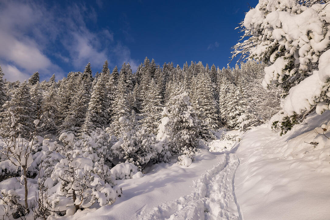 Der erste Schnee in Malbun und Steg