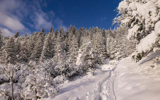 Der erste Schnee in Malbun und Steg