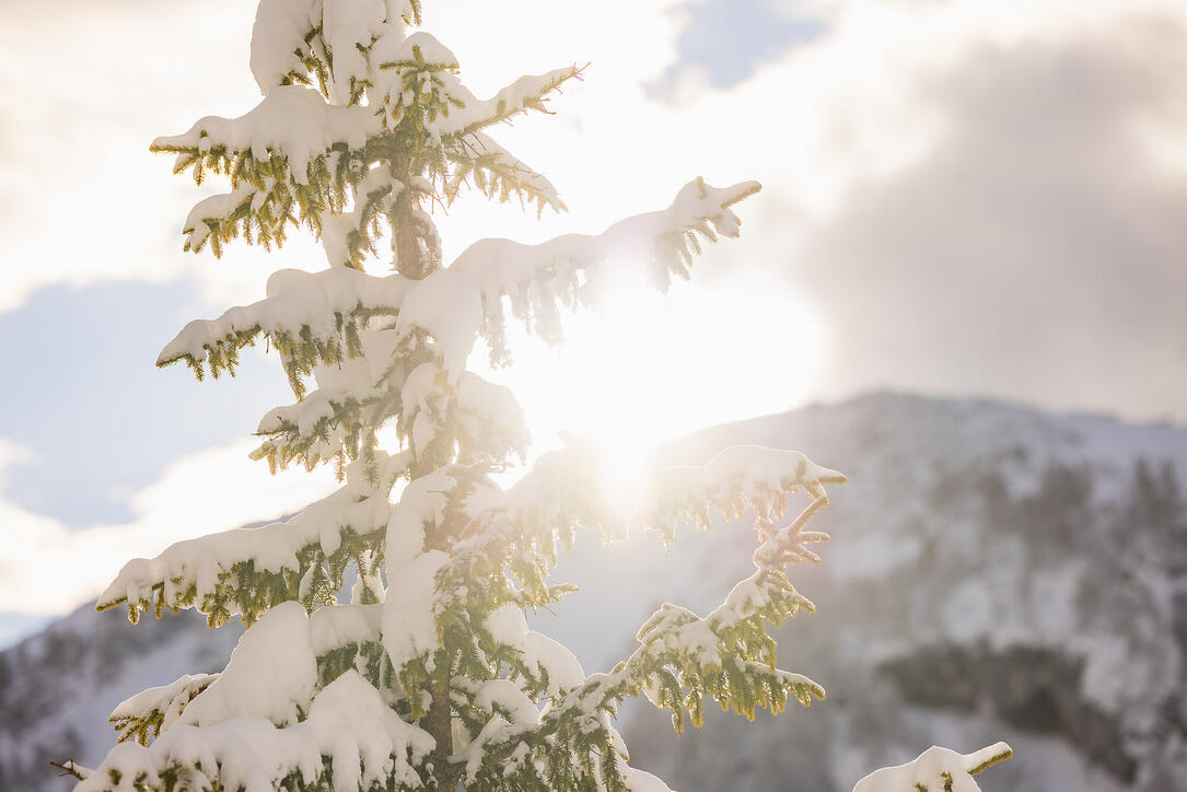 Der erste Schnee in Malbun und Steg