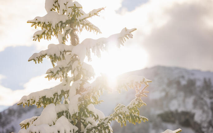 Der erste Schnee in Malbun und Steg