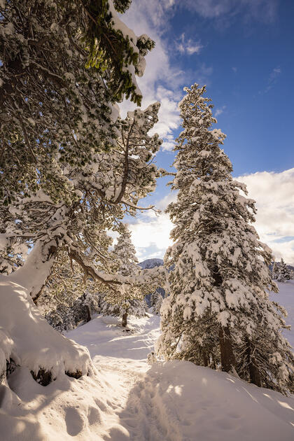 Der erste Schnee in Malbun und Steg