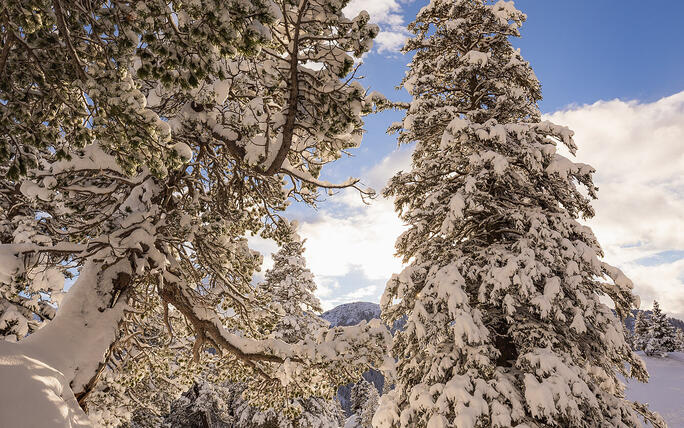 Der erste Schnee in Malbun und Steg