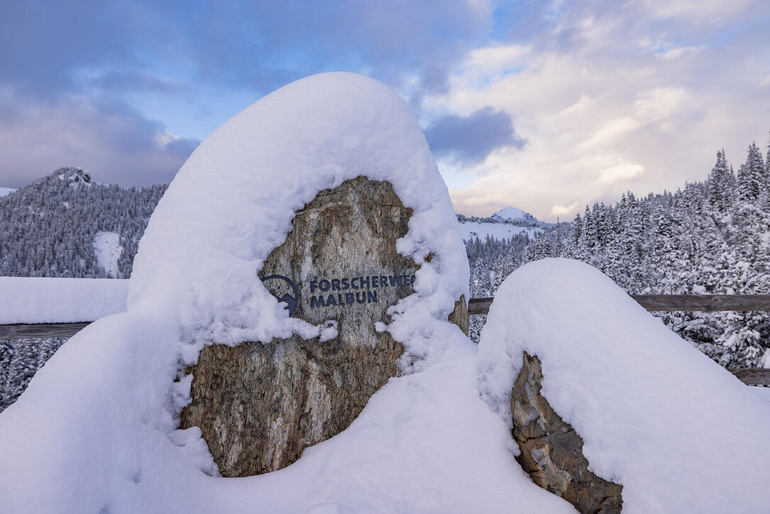 Der erste Schnee in Malbun und Steg