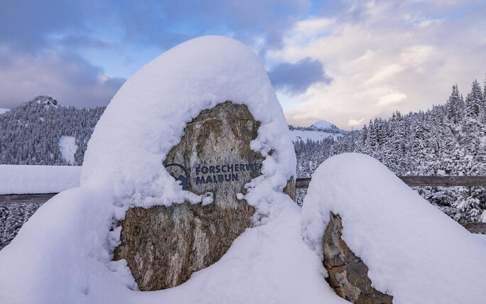 Der erste Schnee in Malbun und Steg