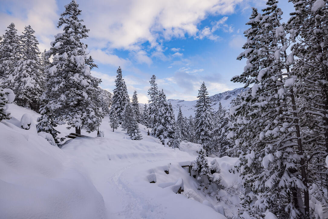 Der erste Schnee in Malbun und Steg