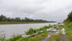 Hochwasser am Rhein