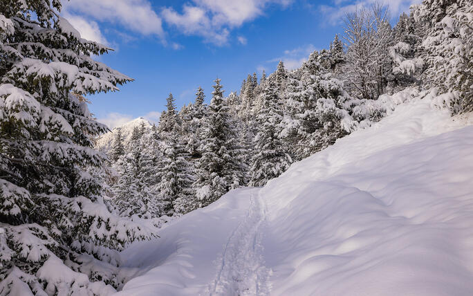 Der erste Schnee in Malbun und Steg