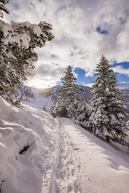 Der erste Schnee in Malbun und Steg