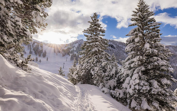 Der erste Schnee in Malbun und Steg