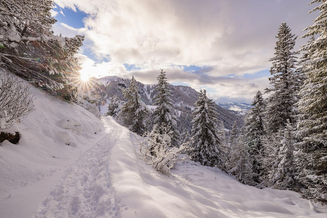 Der erste Schnee in Malbun und Steg