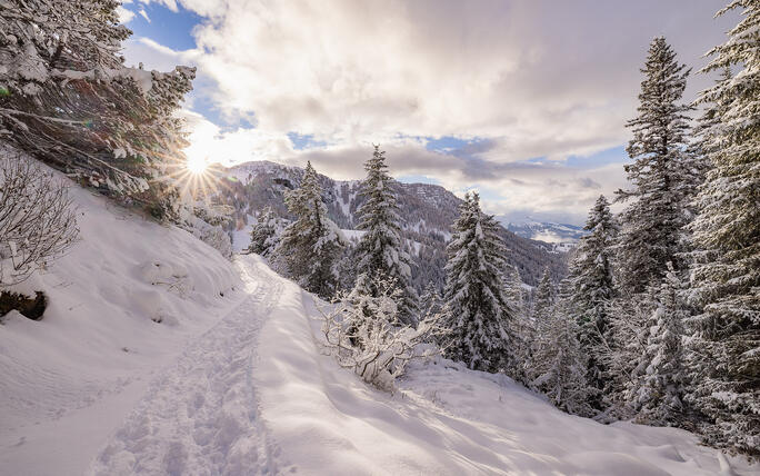 Der erste Schnee in Malbun und Steg