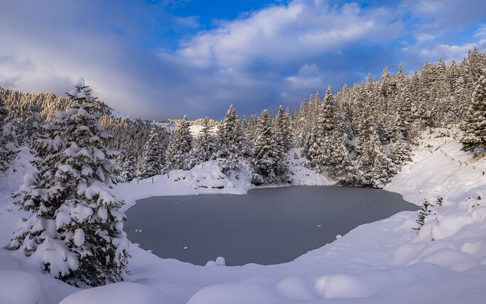 Der erste Schnee in Malbun und Steg