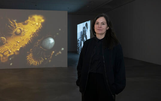 241022 ernissage Claudia Larcher mit «HALLUCINATIONS