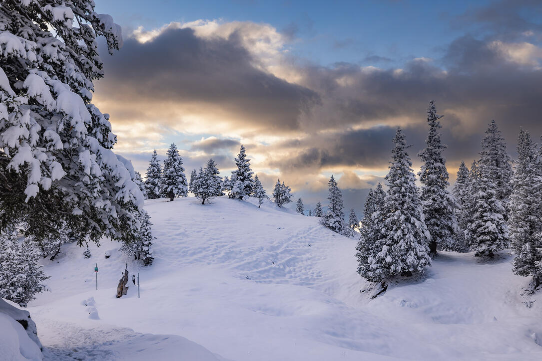 Der erste Schnee in Malbun und Steg