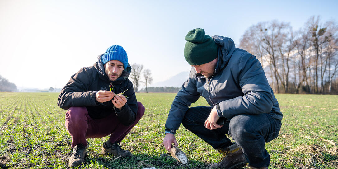 Reportage Bonituren