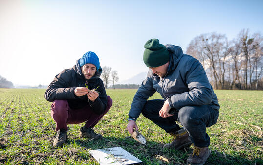 Reportage Bonituren