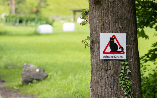 240524 Baustelle Umfahrung Vaduz, Bild aufgenommen in Vaduz am 24.05.2024 
- Schild, Warnung, Verkehrsschild, Verkehrstafel, Tafel