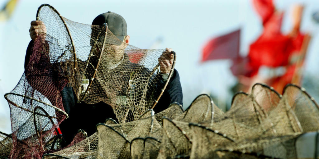 Ein Fischer legt an der Ostsee seine Reusen aus: Nächstes Jahr darf dort weniger Dorsch gefangen werden.