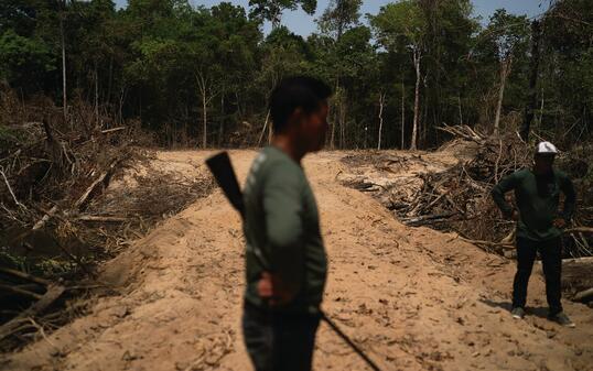 Brazil Amazon Fires