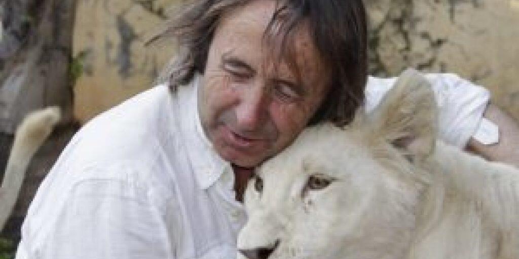 Zoogründer und -direktor Juan Luis Malpartida tröstet die weisse Löwin, die im März nach zwei Wochen Wehen das erste weisse in Spanien geborene Löwenjunge geboren hatte. Das Muttertier hat nach der traumatischen Niederkunft ihr Junges verstossen (Pressebild)