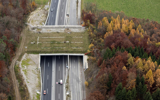 WILD, BURECKE, WILDBRUECKE, GRUENBRUECKE,