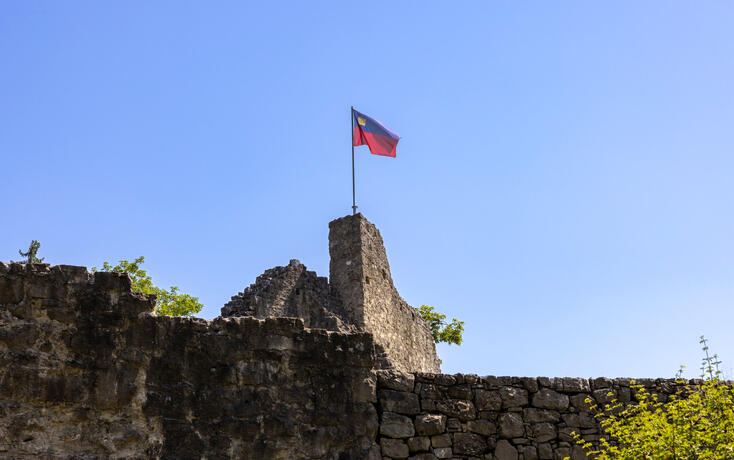 Burg Schellenberg