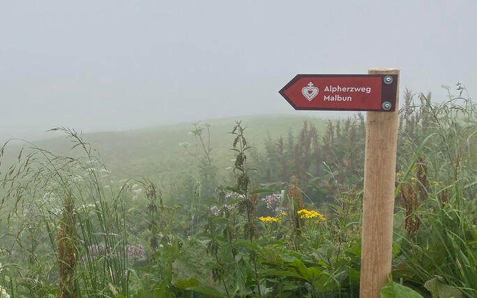 Alpherzweg Malbun - Leserwettbewerb