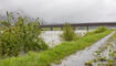 Hochwasser am Rhein